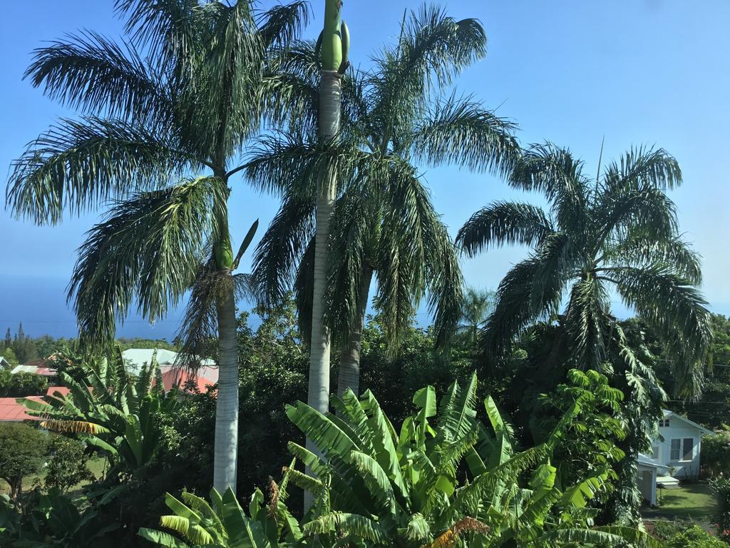 Hotel Honokaa Buitenkant foto