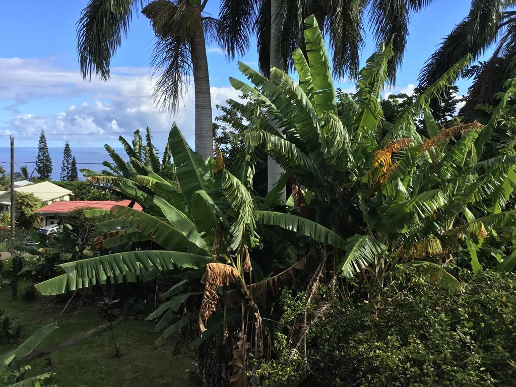 Hotel Honokaa Buitenkant foto